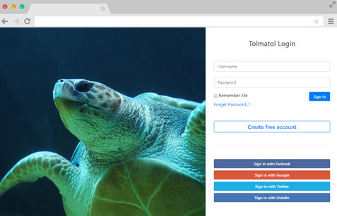 Bootstrap-Snippets-right-side-login-form-tolmatol